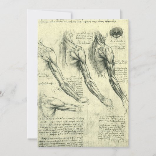 Anatomie von Leonardo da Vinci (Vorderseite)