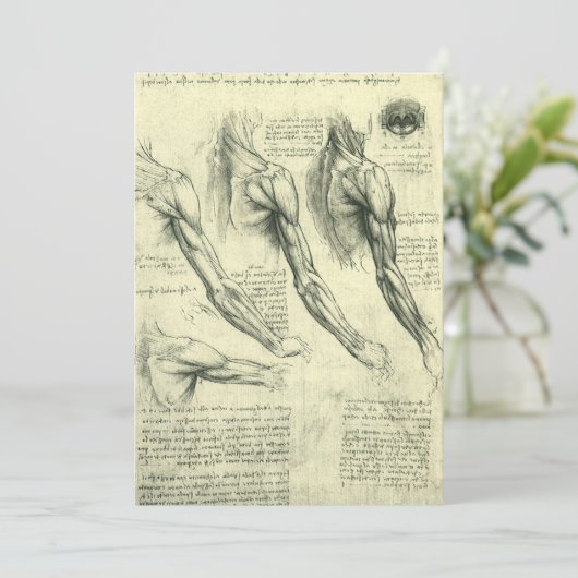 Anatomie von Leonardo da Vinci (Stehend Vorderseite)