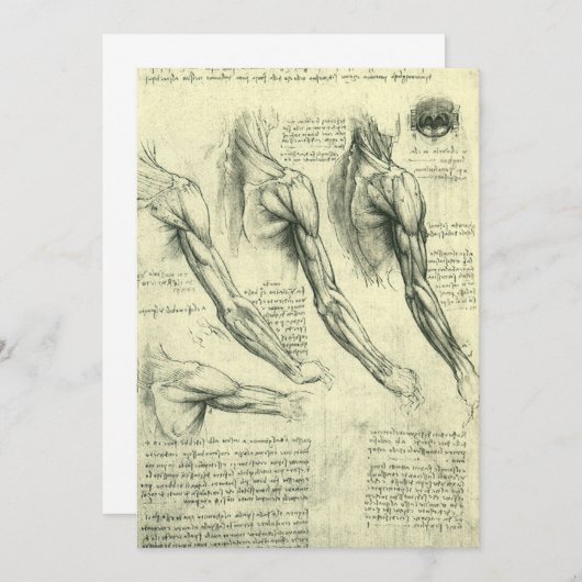 Anatomie von Leonardo da Vinci (Vorne/Hinten)