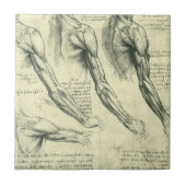 Anatomie von Leonardo da Vinci Fliese (Vorderseite)