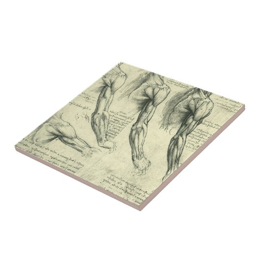Anatomie von Leonardo da Vinci Fliese (Seite)