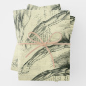 Anatomie von Leonardo da Vinci Geschenkpapier Set (Beispiel)