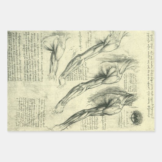 Anatomie von Leonardo da Vinci Geschenkpapier Set (Vorderseite)