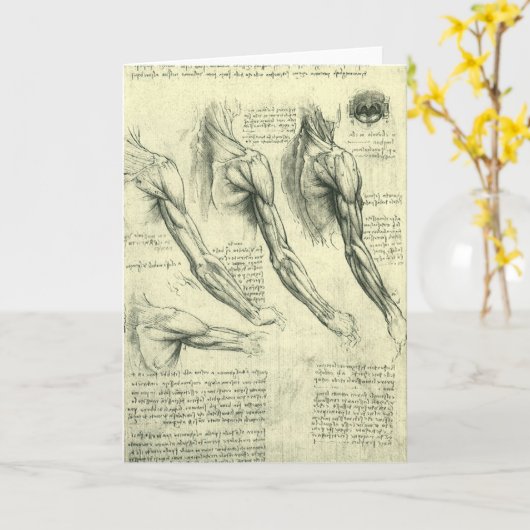 Anatomie von Leonardo da Vinci Karte (Gelbe Blume)
