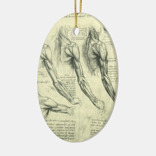Anatomie von Leonardo da Vinci Keramikornament (Links)