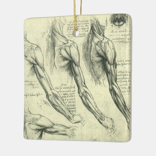 Anatomie von Leonardo da Vinci Keramikornament (Links)