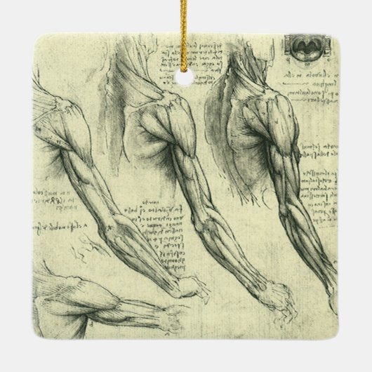 Anatomie von Leonardo da Vinci Keramikornament (Rückseite)