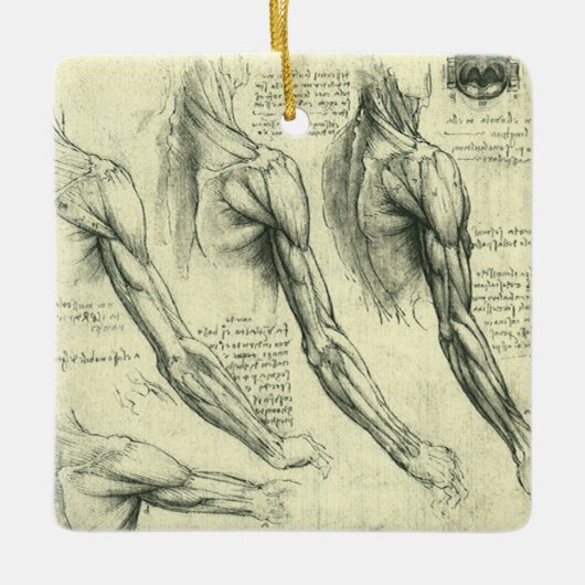 Anatomie von Leonardo da Vinci Keramikornament (Vorderseite)