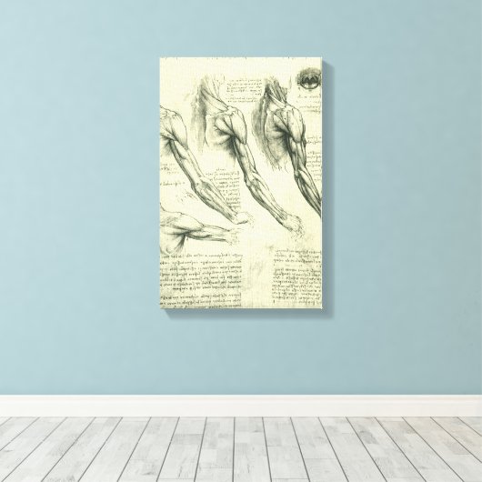 Anatomie von Leonardo da Vinci Leinwanddruck (Insitu (Holzboden))