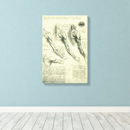Anatomie von Leonardo da Vinci Leinwanddruck (Insitu (Holzboden))