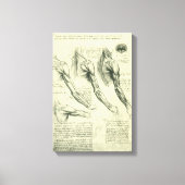 Anatomie von Leonardo da Vinci Leinwanddruck (Vorderseite)
