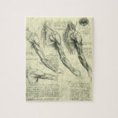 Anatomie von Leonardo da Vinci Puzzle (Vertikal)