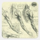 Anatomie von Leonardo da Vinci Quadratischer Aufkleber (Vorderseite)
