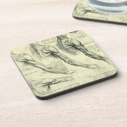 Anatomie von Leonardo da Vinci Untersetzer (Linke Seite)