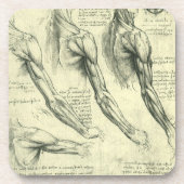 Anatomie von Leonardo da Vinci Untersetzer (Vorderseite)