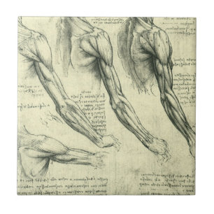 Anatomie von Leonardo da Vincis Arm und Schulter Fliese