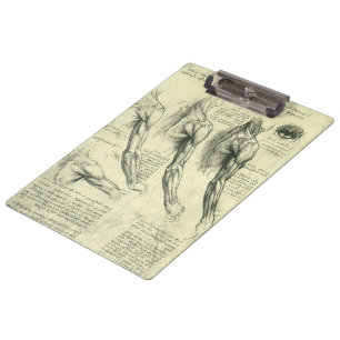 Anatomie von Leonardo da Vincis Arm und Schulter Klemmbrett