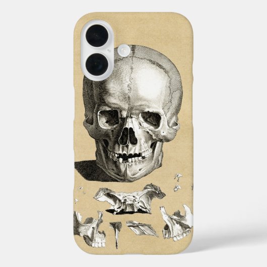 Anatomie von Schädel und Knochen Case-Mate iPhone Hülle (Rückseite)