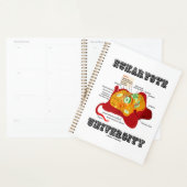 Anatomie von Zellen an der Universität Eukaryote Planer (Anzeige)