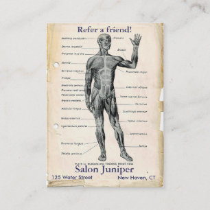 Anatomie Vorderansicht Vintage Zeichnung Empfehlungskarte