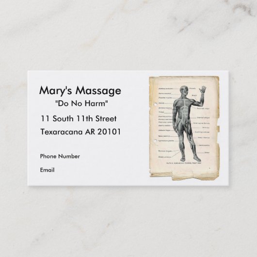 Anatomie vorhergehend terminkarte (Vorderseite)