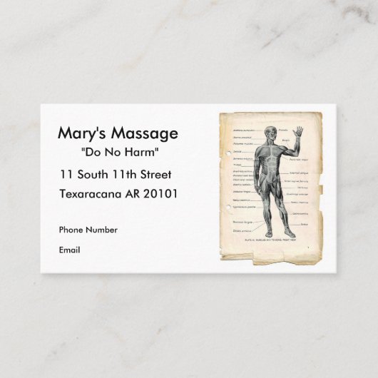 Anatomie vorhergehend terminkarte (Vorderseite)