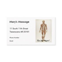 Anatomie vorhergehend