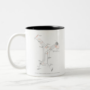 Anatomie Zweifarbige Tasse