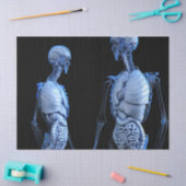 Anatomiepapier Seidenpapier (Basteln)