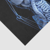 Anatomiepapier Seidenpapier (Detail)