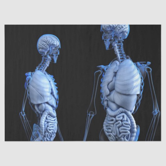 Anatomiepapier Seidenpapier (Vorderseite)