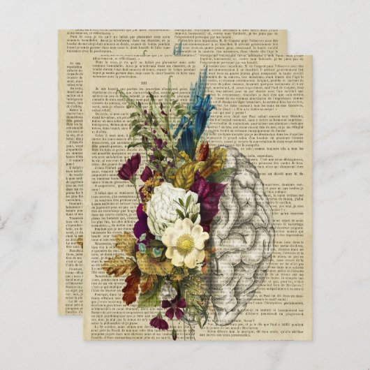 Anatomieplakat für das Blumengehirn (Vorne/Hinten)