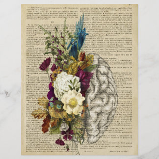 Anatomieplakat für das Blumengehirn Flyer