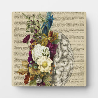Anatomieplakat für das Blumengehirn Fotoplatte