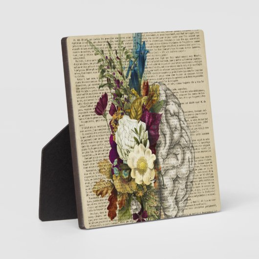 Anatomieplakat für das Blumengehirn Fotoplatte (Vorderseite)