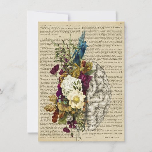 Anatomieplakat für das Blumengehirn Mitteilungskarte (Rückseite)