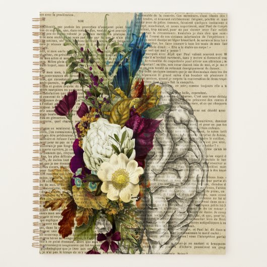 Anatomieplakat für das Blumengehirn Planer (Vorderseite)