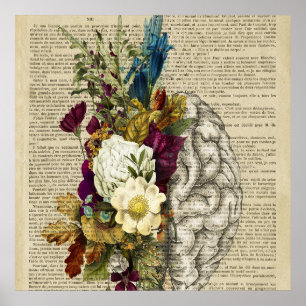 Anatomieplakat für das Blumengehirn Poster