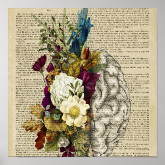 Anatomieplakat für das Blumengehirn Poster