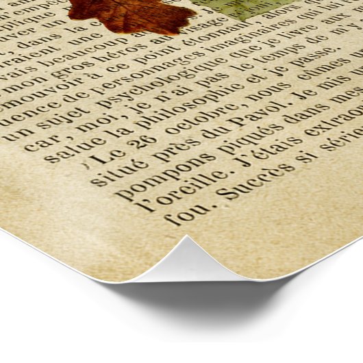 Anatomieplakat für das Blumengehirn Poster (Ecke)