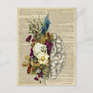 Anatomieplakat für das Blumengehirn Postkarte