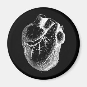 Anatomisch korrektes Herz Magnet