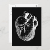 Anatomisch korrektes Herz Postkarte (Vorne/Hinten)