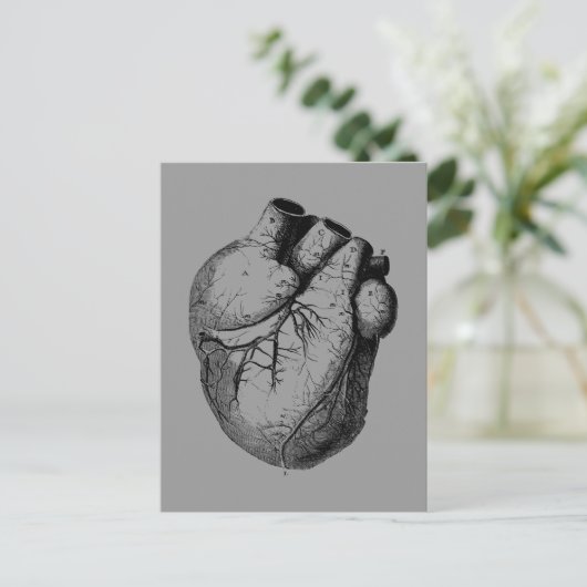 Anatomisch korrektes Herz Postkarte (Stehend Vorderseite)