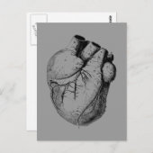 Anatomisch korrektes Herz Postkarte (Vorne/Hinten)