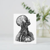 Anatomisch Zeichnend Torso Postkarte (Stehend Vorderseite)