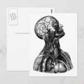 Anatomisch Zeichnend Torso Postkarte (Vorne/Hinten)
