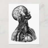 Anatomisch Zeichnend Torso Postkarte (Vorderseite)