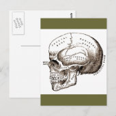 Anatomische Anatomie Anatomischer Schädel Postkarte (Vorne/Hinten)
