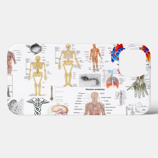 Anatomische Diagramme Case-Mate iPhone Hülle (Rückseite (Horizontal))